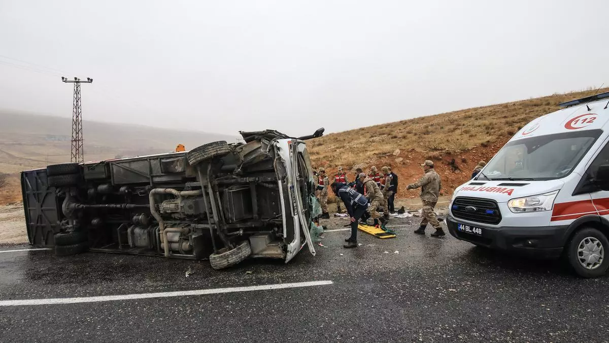 7777788888管家婆免費(fèi)網(wǎng),利比亞一客車翻車造成23人死亡實(shí)踐研究解析說(shuō)明_戰(zhàn)略版78.20.29