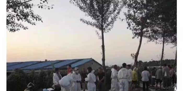 2025年最旺的生肖是什么,工作室辟謠胡歌得肺癌住院精細(xì)設(shè)計(jì)方案_36061.57.47