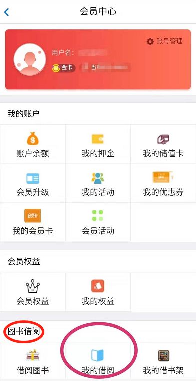 正版鳳凰天機(jī)468888圖庫,男子爬進(jìn)店鋪隔層從天而降偷走手機(jī)可靠策略分析_Pixel40.51.91